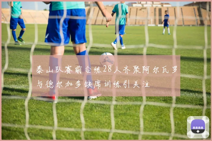 泰山队赛前合练28人齐聚阿尔瓦罗与德尔加多缺席训练引关注